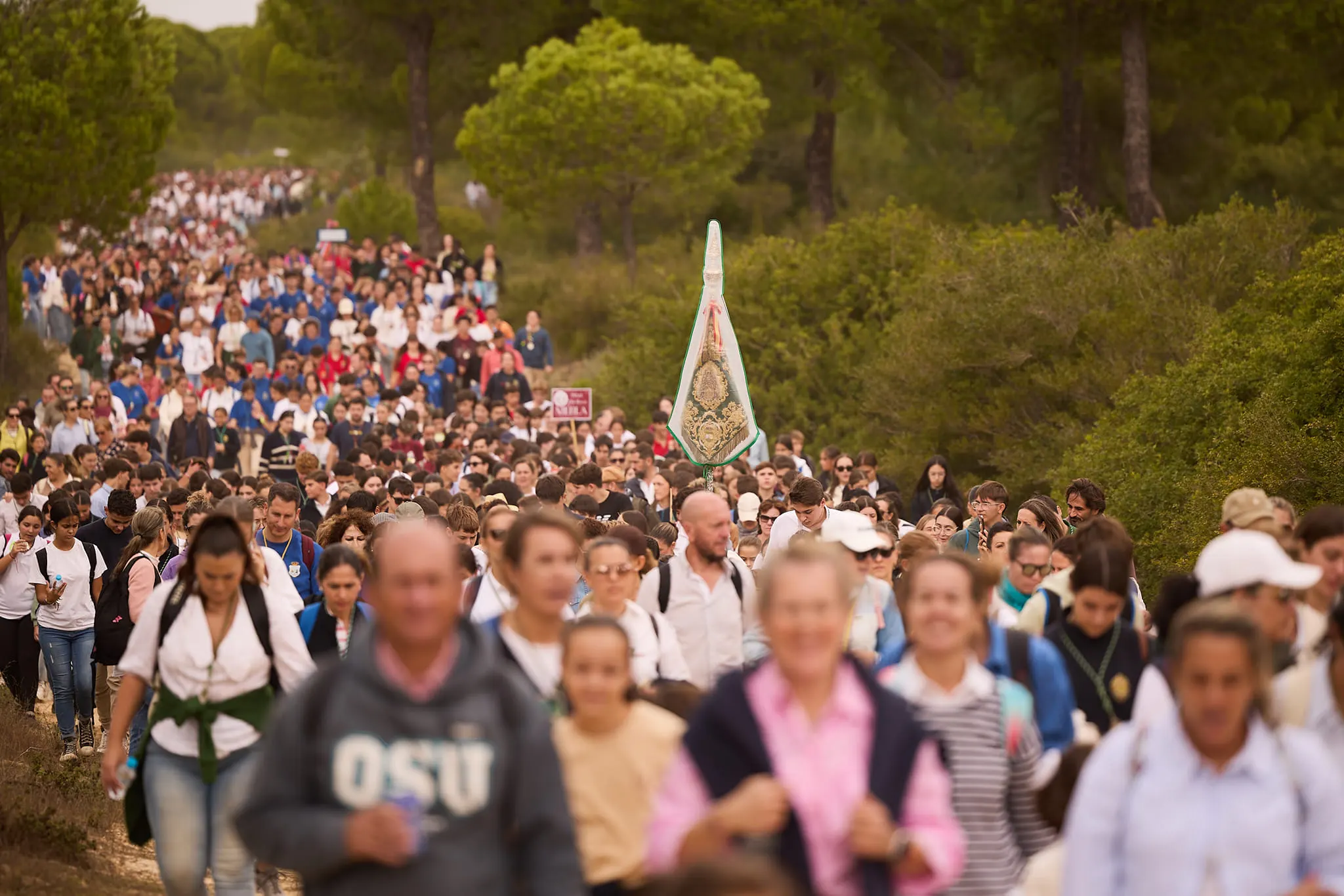 peregrinacion jovenes rocieros 2024-4