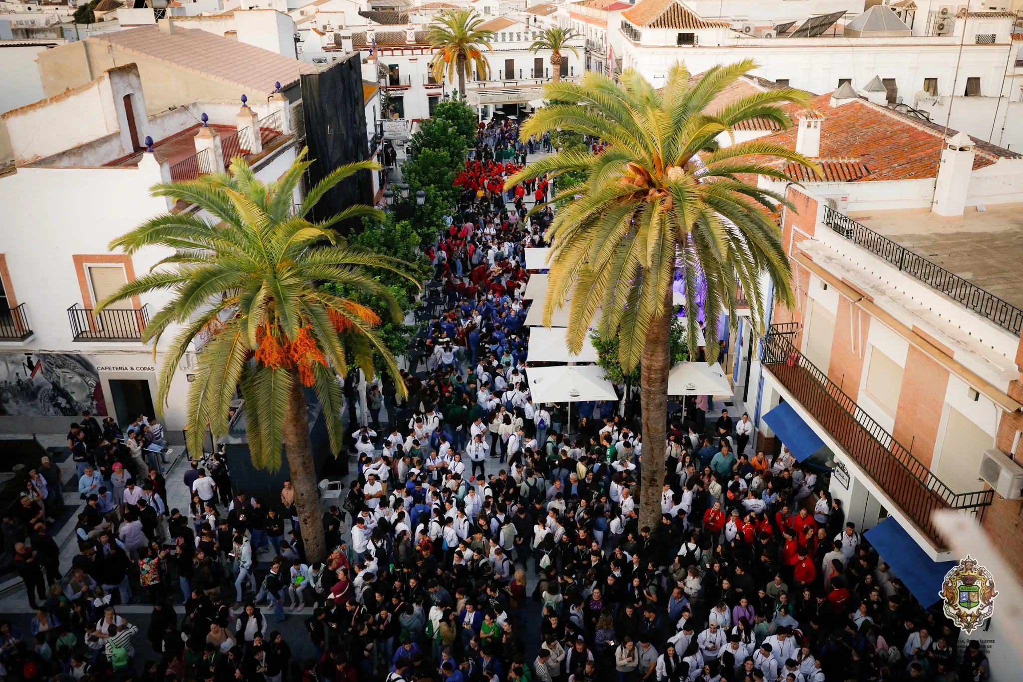 Peregrinacion jovenes rocieros 2025-1