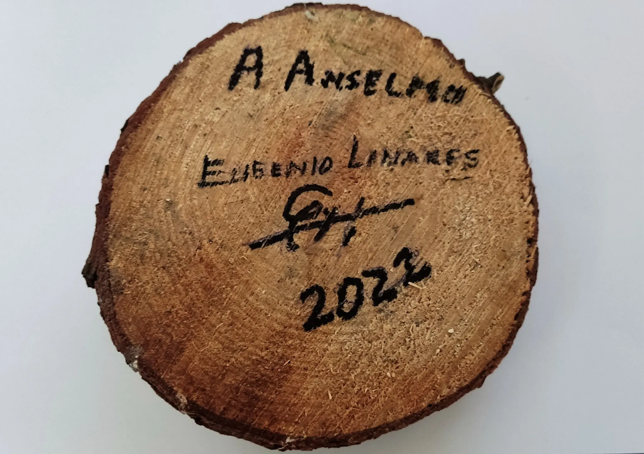 pino de los mil duros 2022-12