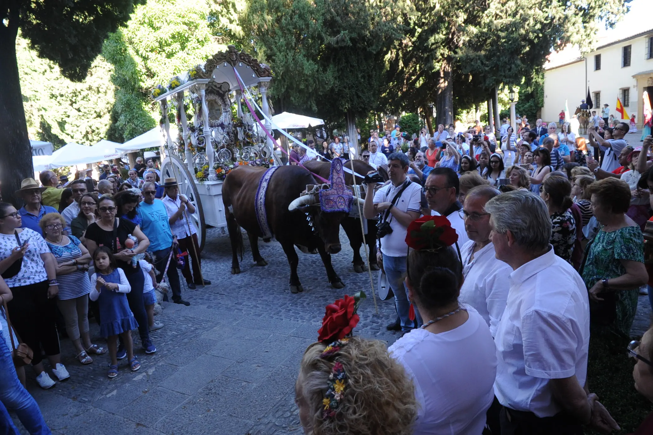 Momentos del Camino al Rocio 2019- Ronda