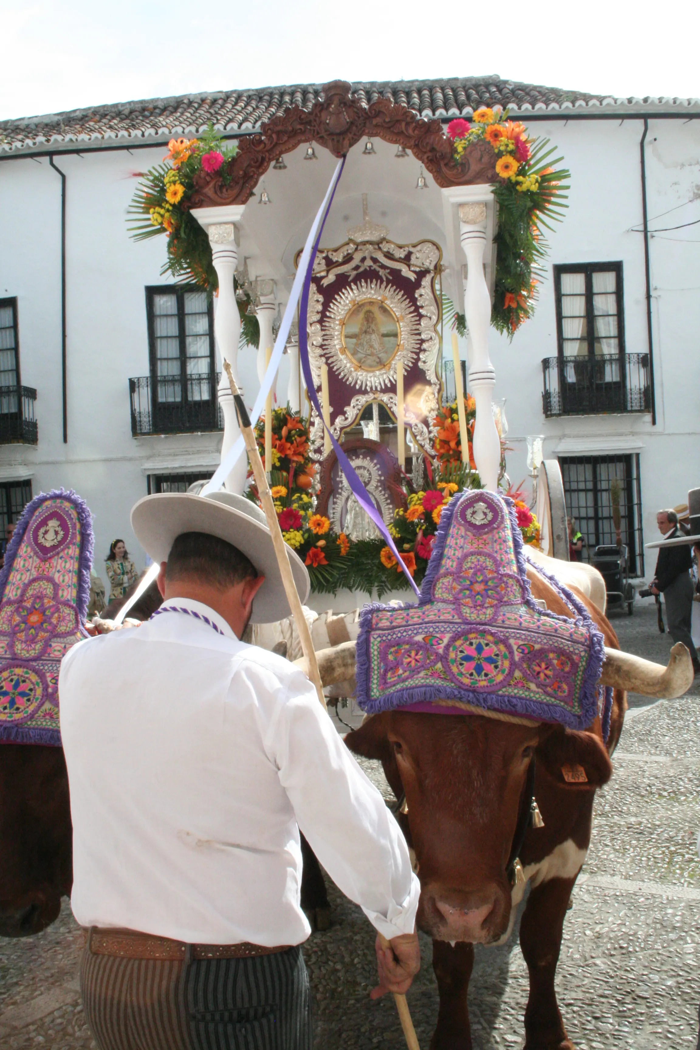 4643-rocio-ronda-jose-aviles-073