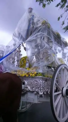 Camas al Rocío 2016