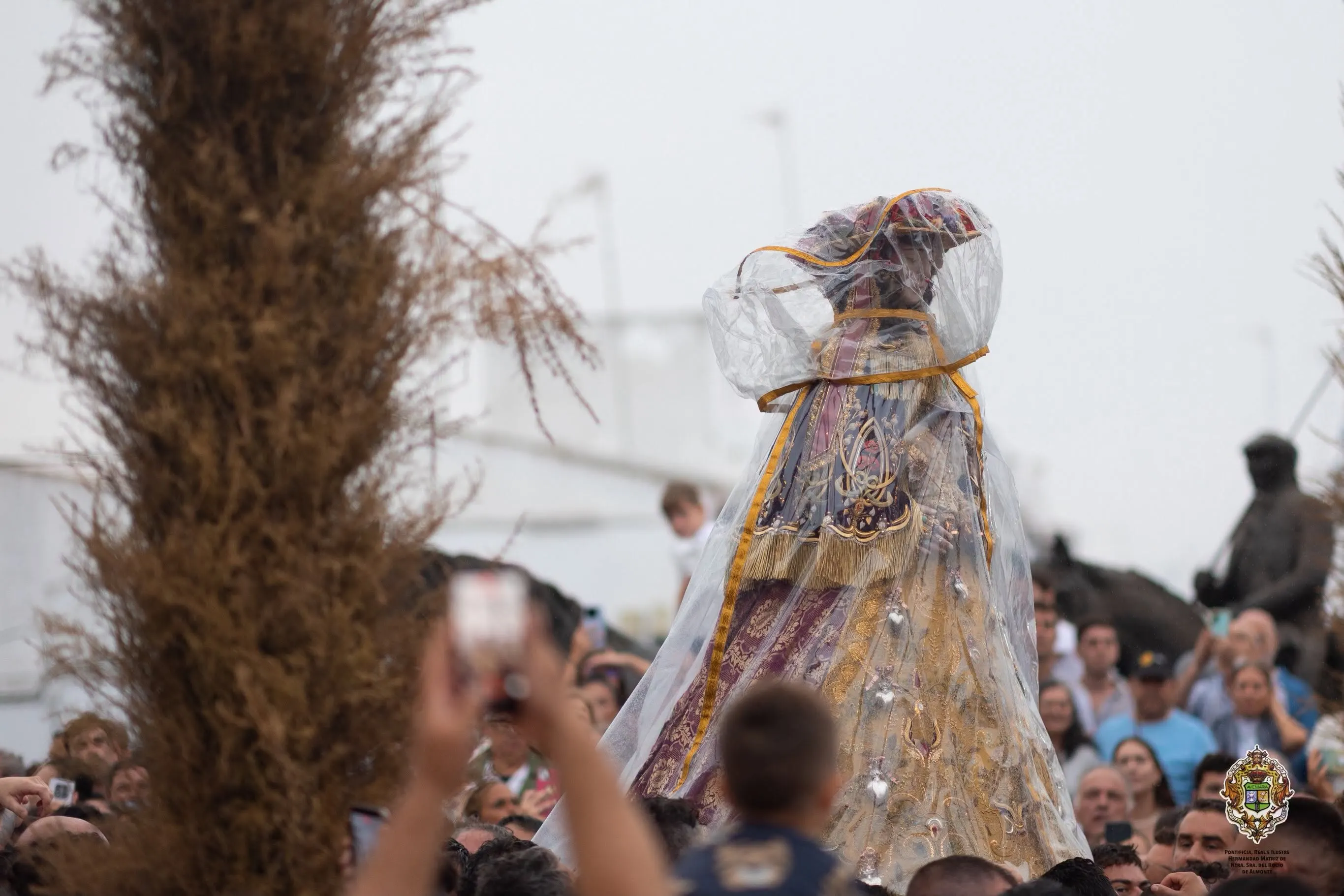 Venida virgen rocio 2026-16