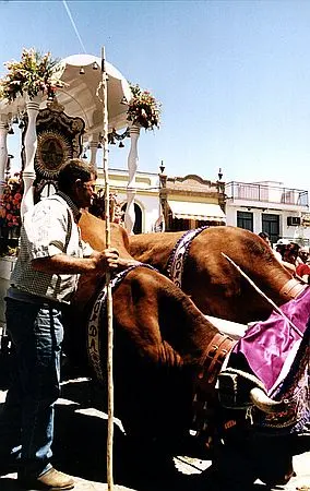 camino0024_std