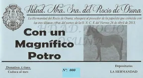 4372-FOTO-CABALLO-copia.jpg