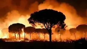 incendio doñana -1