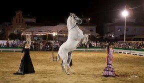 4809-espectaculo-ecuestre-para-en-gines.jpg