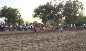 carreras de cintas rocio