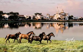 fotografia-ramon.leon-andalucia-romeria.virgen.rocio-ermita-rocina-ERMT_002r1r4_H0_K1_FIRM-