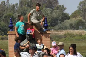 Saca yeguas 2018 alfonso Macias-30