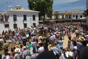 presentacion-2011-163_redimensionar.jpg
