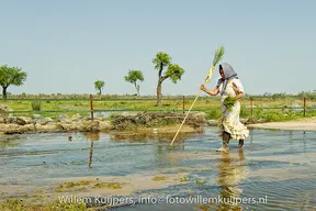 willemkuijpers-2010-034_std.jpg