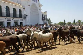 5384-2014-saca-25
