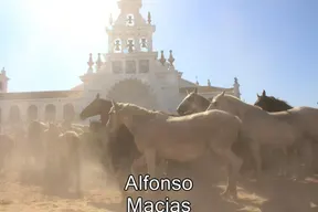 Saca yeguas 2015 a. Macias-22