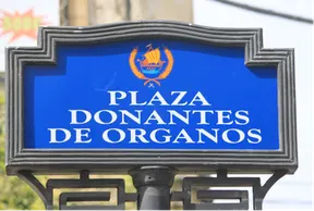 5158-donantes-coria-1.png