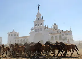 5382-macias-saca-2014-29