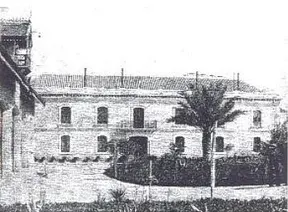 img001_redimensionar.jpg