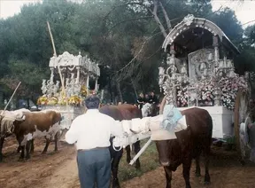 4387-Hdades.-Rocio-Osuna-Ecija.jpg