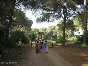 rocio2008-rojas-063_std.jpg