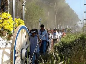 hinojos-rocio.com-2014