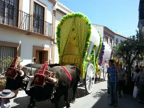 Gines carreta solidaria 2015