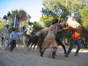 Rafael-Rojas-Hermandad de Ronda en el camino-2005-2