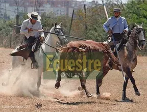 1290-garrollistas.jpg