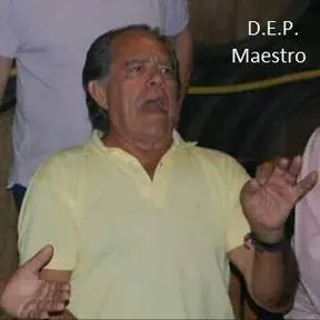 faustino romeros puebla