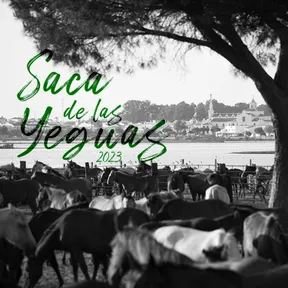 saca yeguas 2023