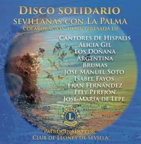 solidario isla de la Palma-1