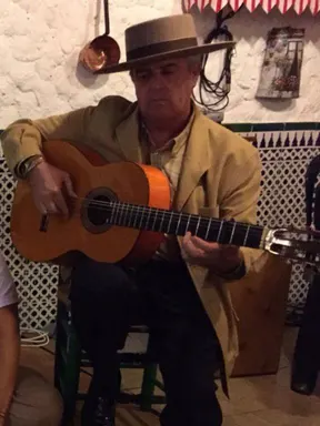Rincon de la Victoria - Pregon 2016