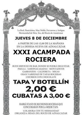 aznalcazar-acampada