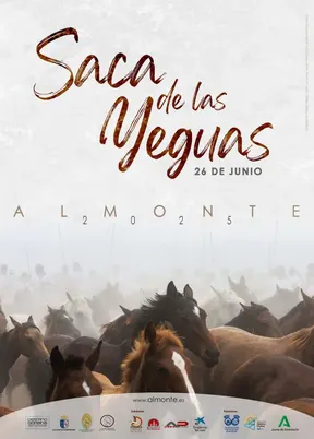 Saca de yeguas en almonte rocio 2025
