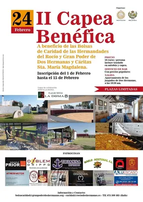 Dos hermanas capea benefica 2019