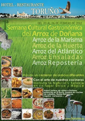 3448-A3-Arroz-Toruno3-RGB.jpg