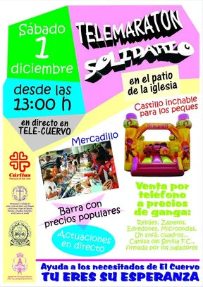 4184-cartel-telemaraton.jpg