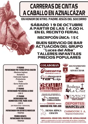 4830-cartel-hdad-rocio-carrera-cintas.jpg