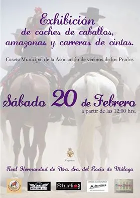 Malaga caballistas