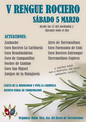 Torremolinos rengue-2016