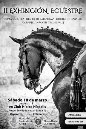 Alcala Guadaira II ecuestre