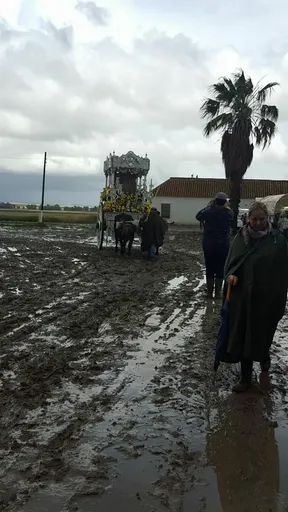Ecija camino 2016