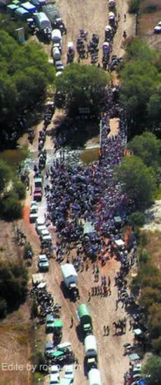 imagen.jpg