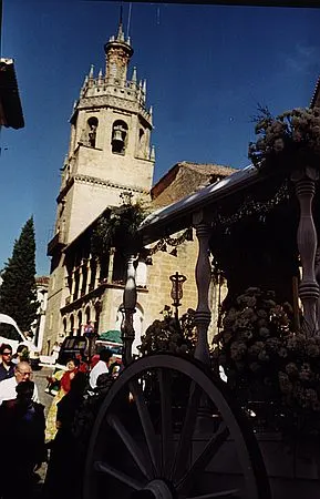 camino0007_std