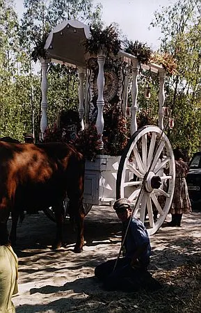 camino0013_std