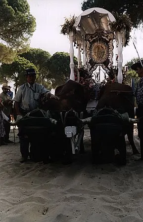 camino0014_std