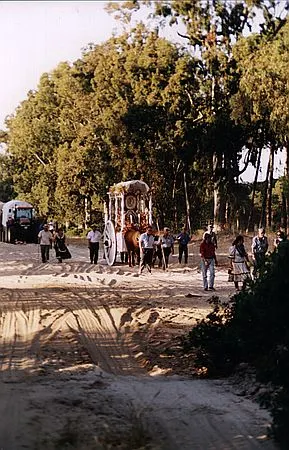 camino0016_std
