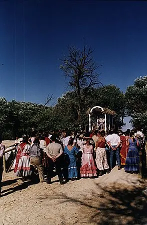 camino0011_std
