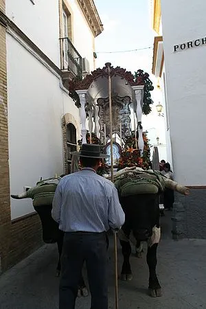 aviles-rocio-2009-093_std