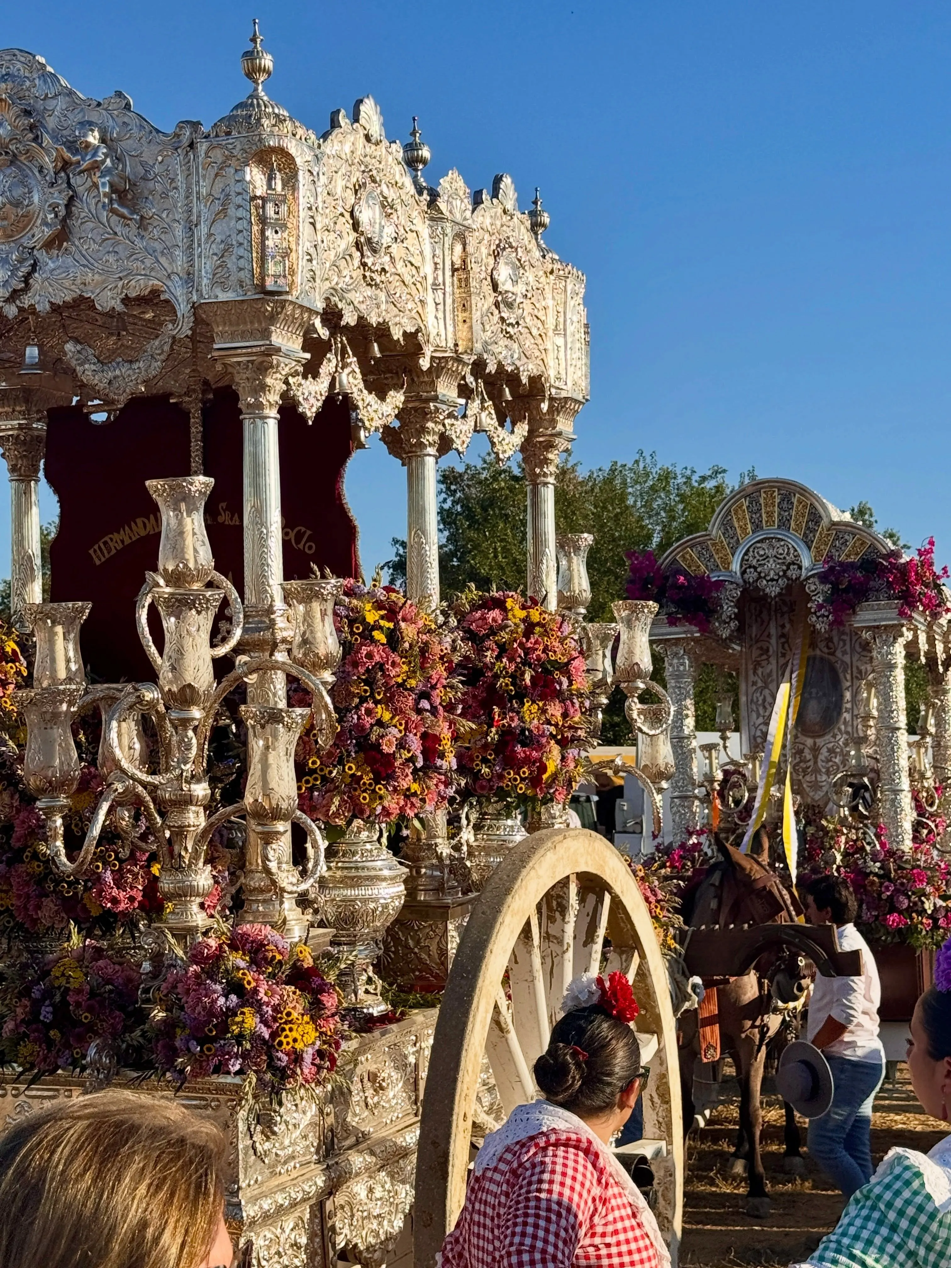 Momentos del Camino Rocio 2026-00125