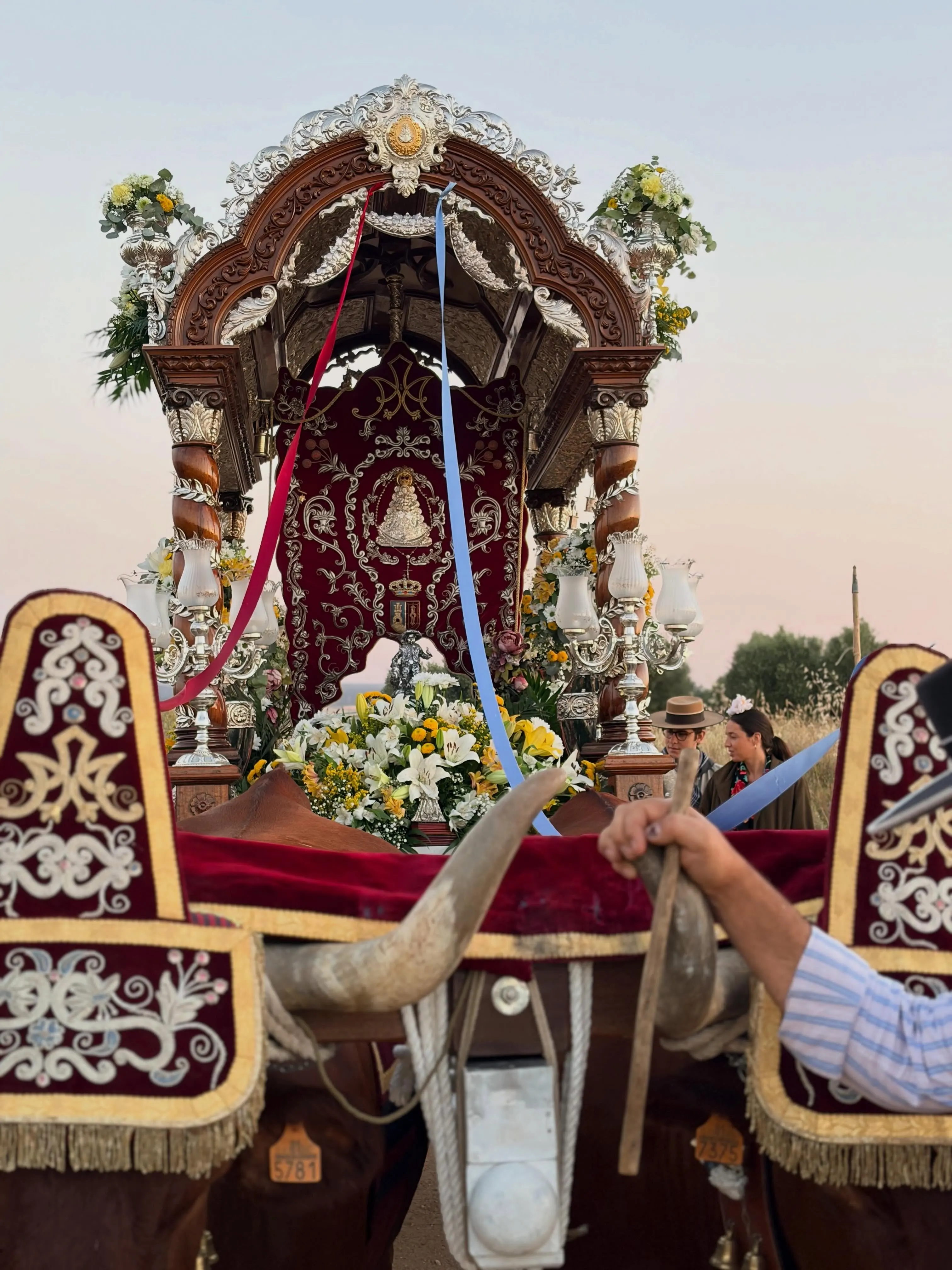Momentos del Camino Rocio 2026-00174
